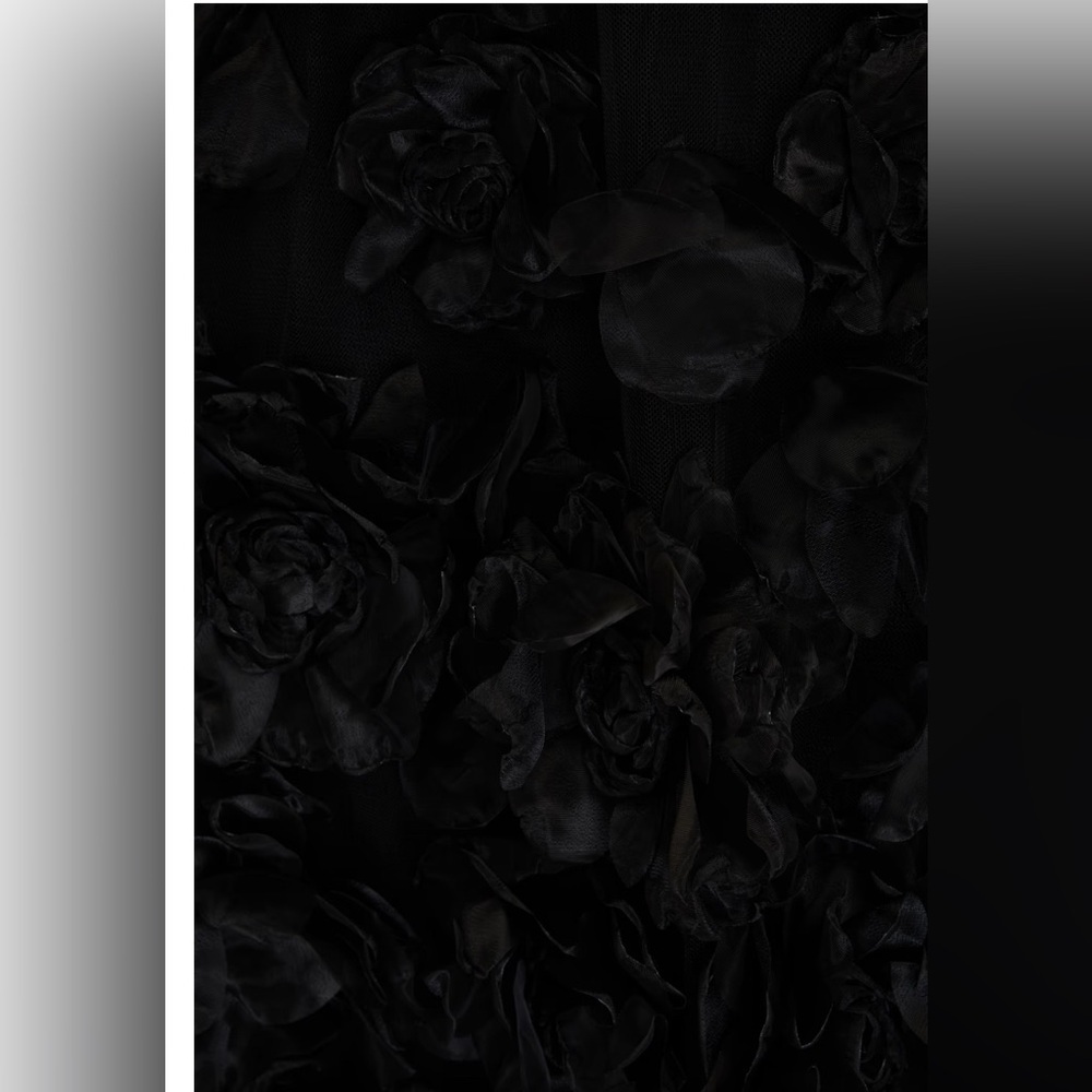 NEW Marchesa 3D Black Floral Rose-Embellished Tulle Cocktail Gown Sz 6 - Picture 10 of 12